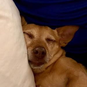 Meet your Posher, Kelly